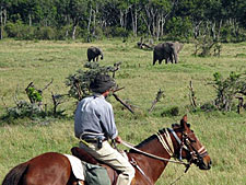 Kenya-Masai Mara-Masai Mara Equestrian Safari